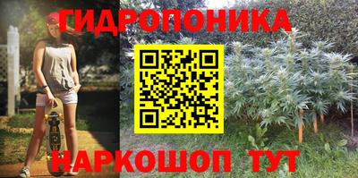 дмт Новодвинск