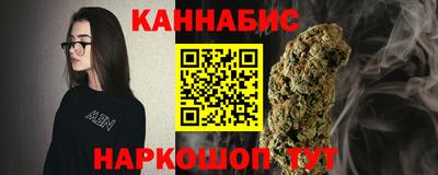 дмт Новодвинск