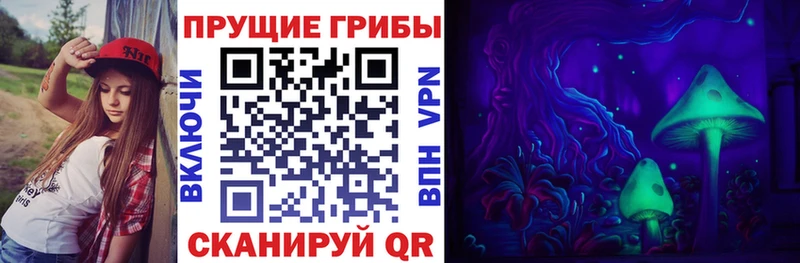 Галлюциногенные грибы Magic Shrooms Шуя