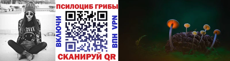даркнет сайт  Шуя  Псилоцибиновые грибы Cubensis 