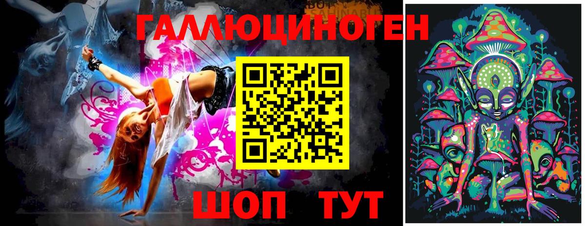 Псилоцибиновые грибы Psilocybe Шуя