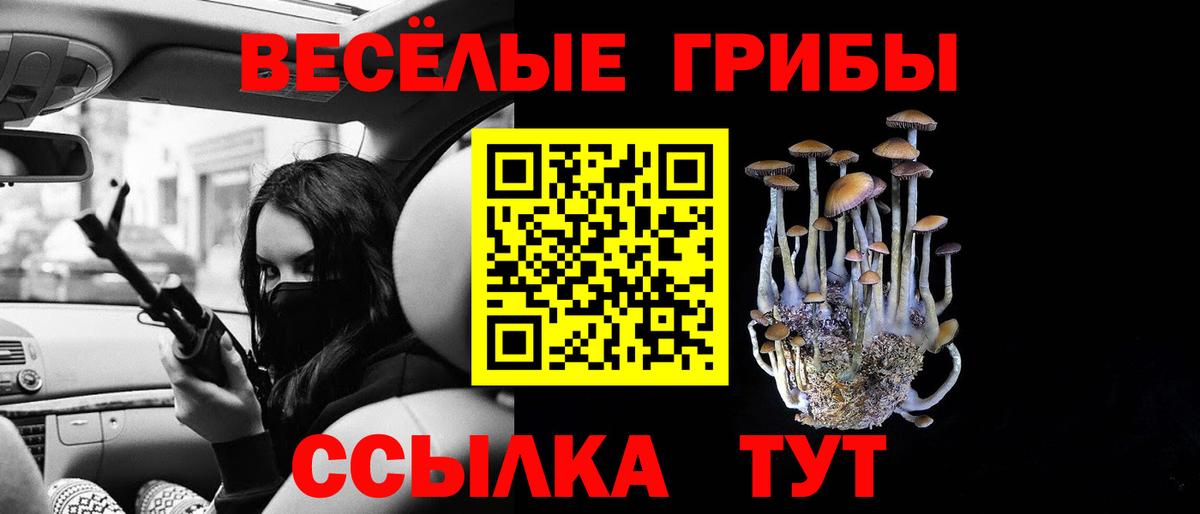 Шуя  Галлюциногенные грибы Psilocybe  Вход с VPN 